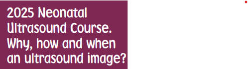 <p>2025 Neonatal Ultrasound Course.<br />
Why, how and when an ultrasound image?</p>
